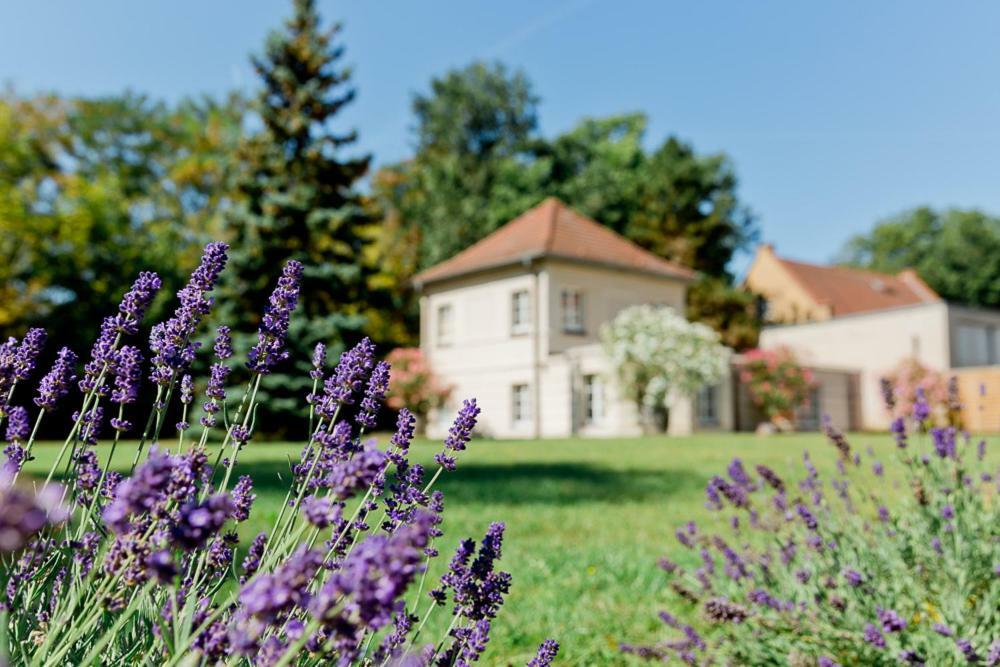 Landhaus Am Jungfernsee Потсдам Екстер'єр фото